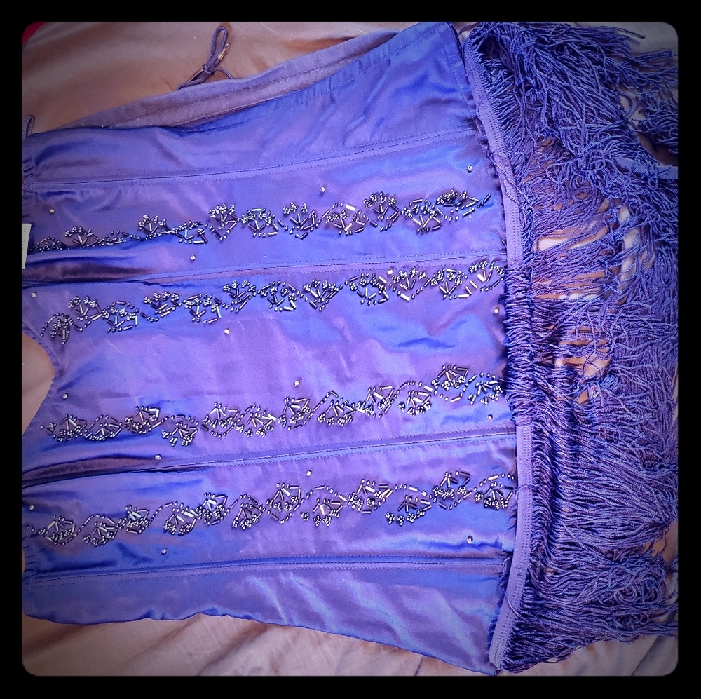 Purple beaded corset